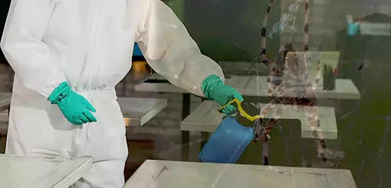 Why Buyers Still Want Homes With Pest Infestations in Lancaster, CA?