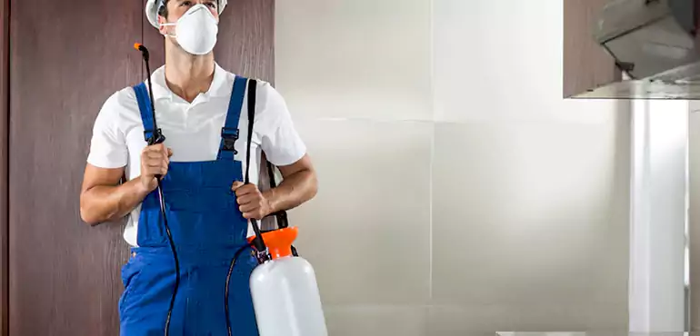Why Lancaster Homeowners Choose Us When Pests Make Selling Difficult